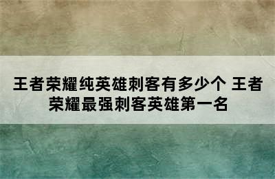 王者荣耀纯英雄刺客有多少个 王者荣耀最强刺客英雄第一名